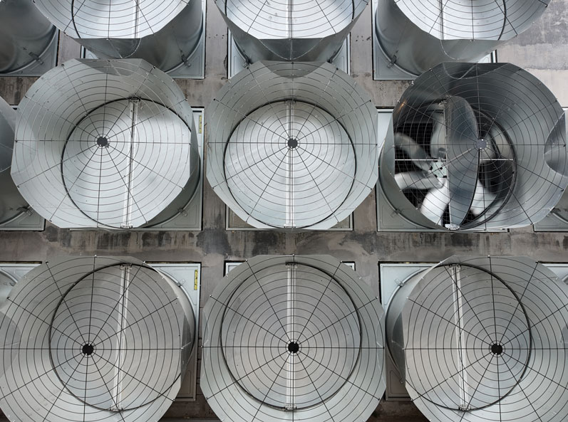 চিংদাও গাওতিয়ানরান লেয়ার কেজ প্রজেক্ট