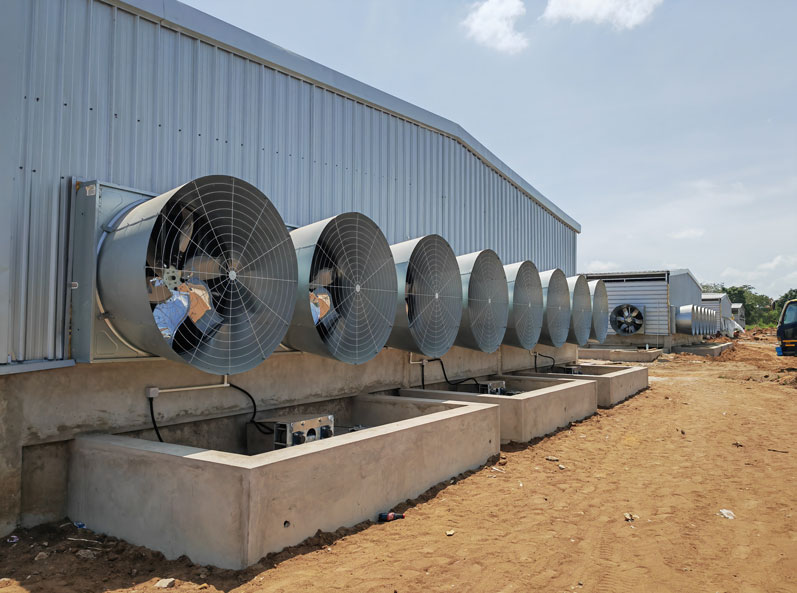 তানজানিয়া ব্রয়লার ফ্লোর-রিয়ারিং প্রকল্প