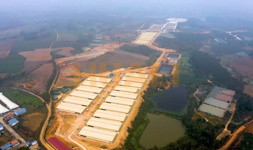 ভিয়েতনাম মোটাতাজাকরণ খামার প্রকল্প