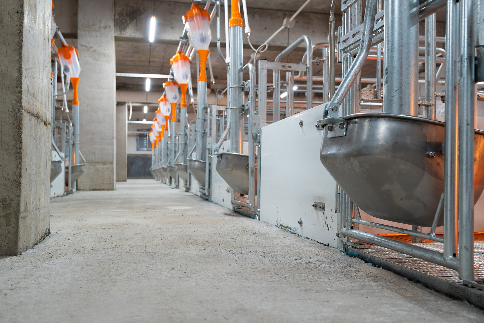 Aonong 10,000 Sows Farm EPC প্রকল্প